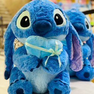 استیج قلب به دست