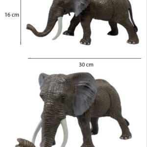 حیوانات جنگل فیل