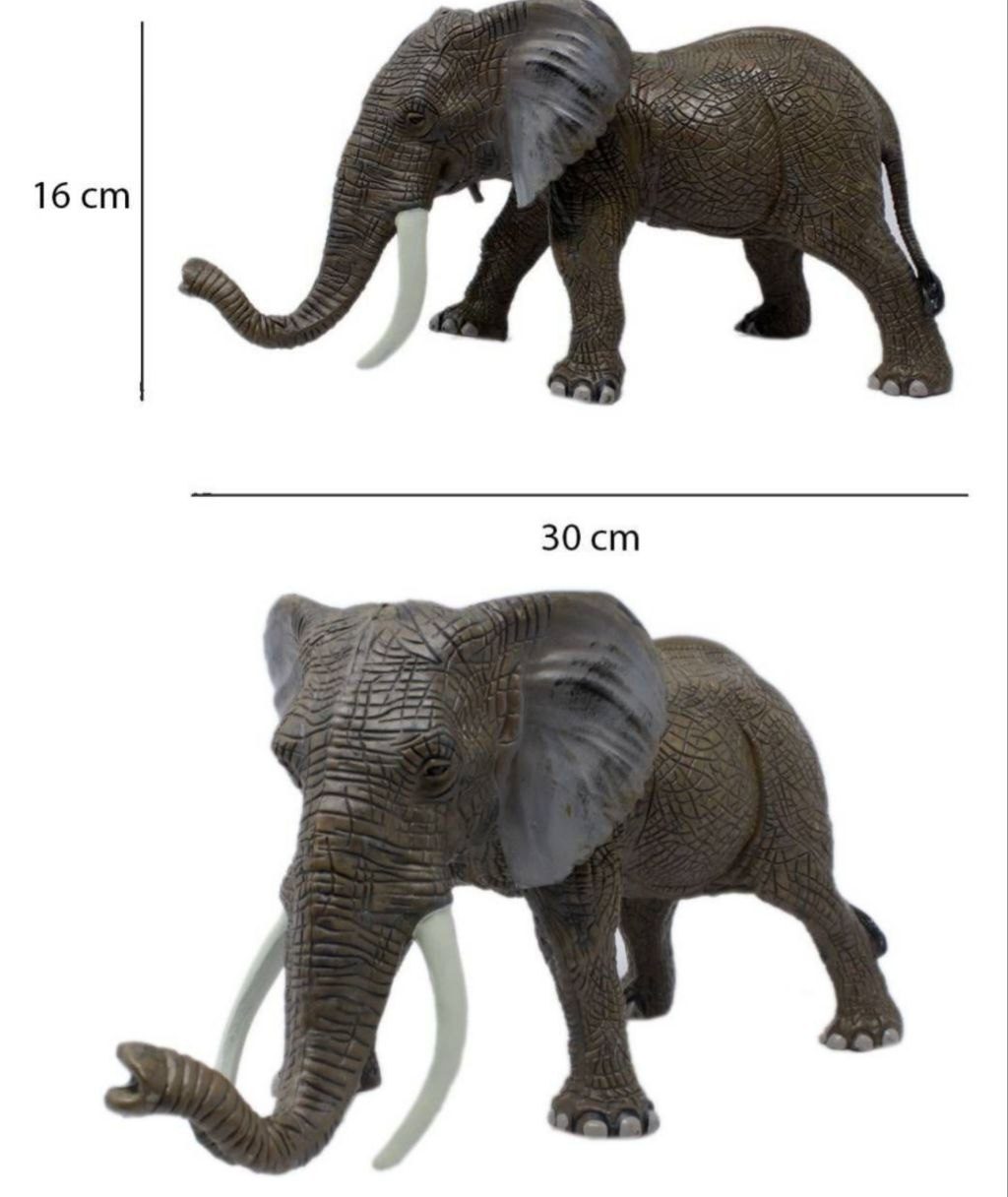 photo_2025-03-12_12-48-30 حیوانات جنگل فیل - تصویر 1