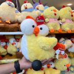 مرغ چشم قلمبه ای 25 سانتی