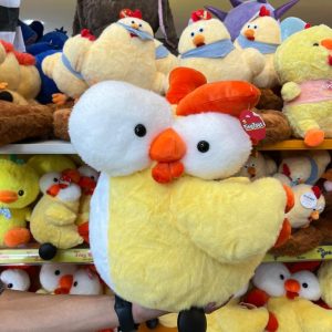 مرغ چشم قلمبه ای 40 سانتی