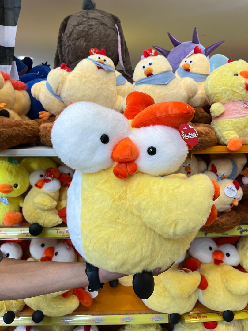 WhatsApp Image 2025-05-20 at 17.31.04_a97f8fba مرغ چشم قلمبه ای 40 سانتی - تصویر 1