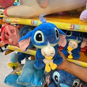 استیج جوجه به دست 23 سانتی