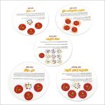 تیزبین اعداد و اشکال - تصویر 2