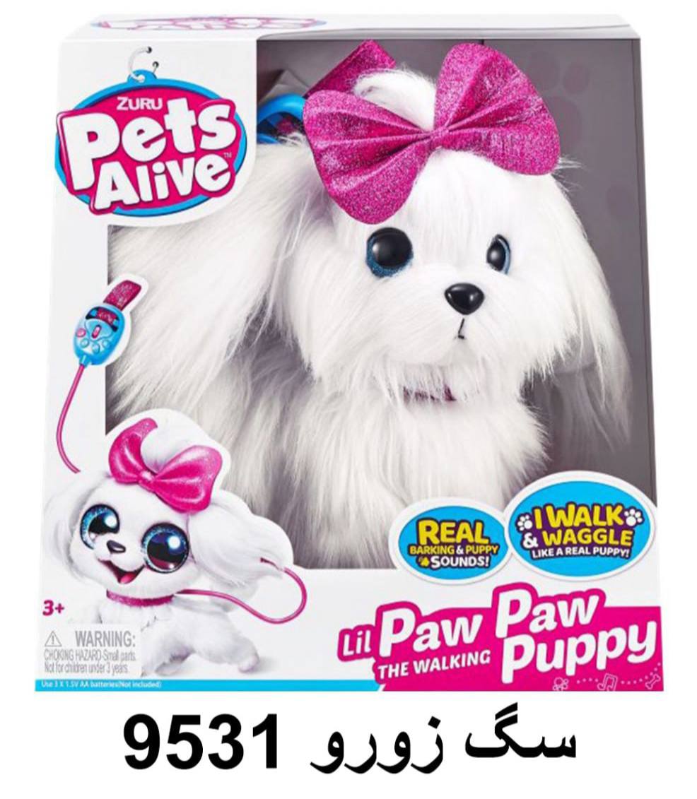 photo_11_2025-06-04_13-02-32 سگ قلاده دار زورو اورجینال حرکتی 9531 - تصویر 1