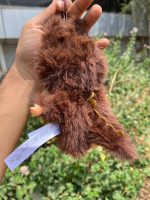 لبوبو بالدار زیمومو قهوه ای