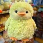 جوجه چشم تیله 40 سانت