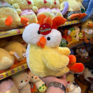 مرغ چشم قلمبه 25 سانت