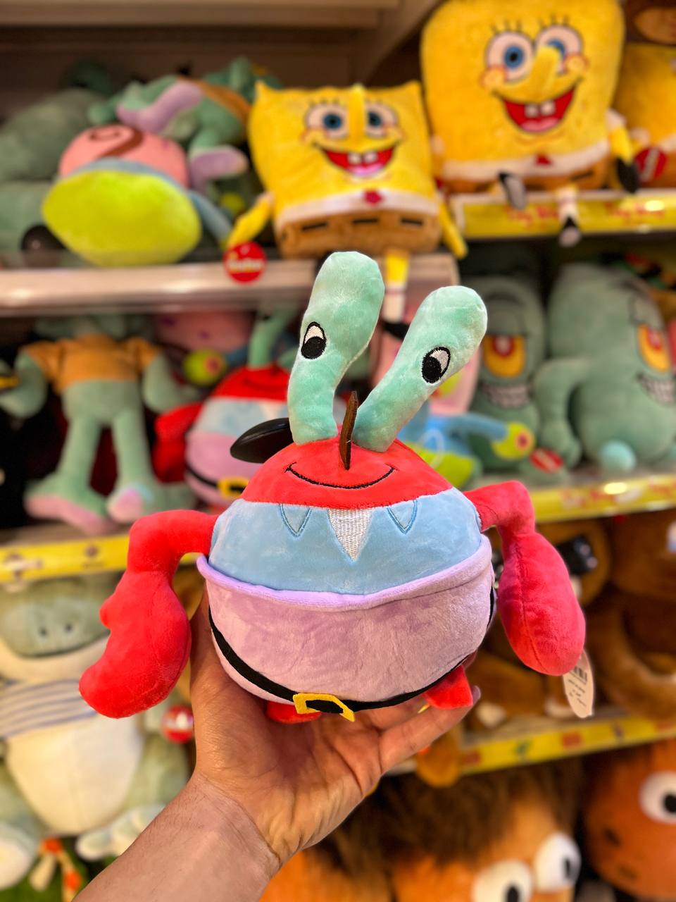 photo_2025-09-03_17-14-39 آقای خرچنگ 30 سانت - تصویر 1