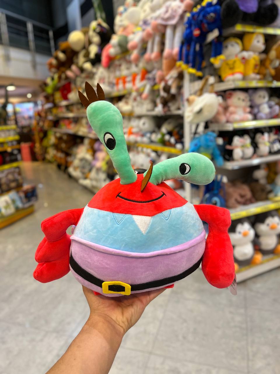 photo_2025-09-03_17-14-45 آقای خرچنگ 40 سانت - تصویر 1