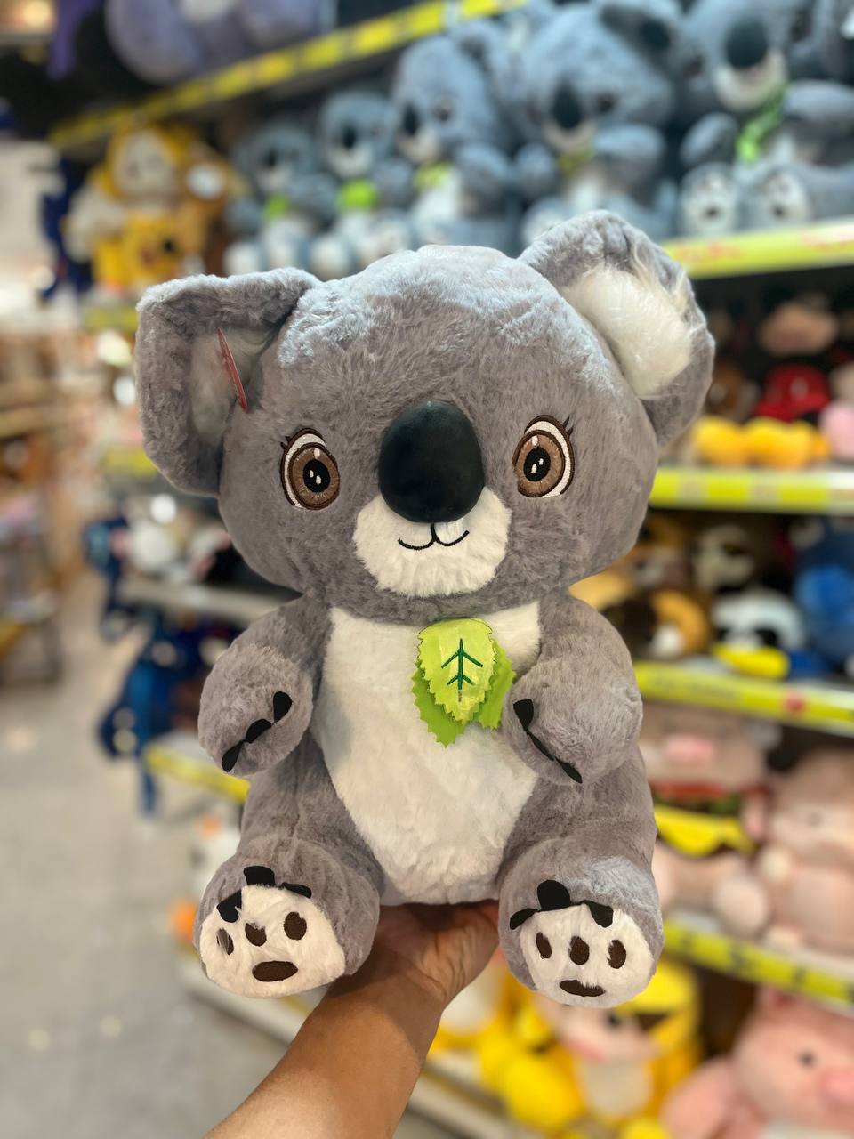 photo_2025-09-07_12-58-33 کوالا گوش پشمالو 45 سانت - تصویر 1