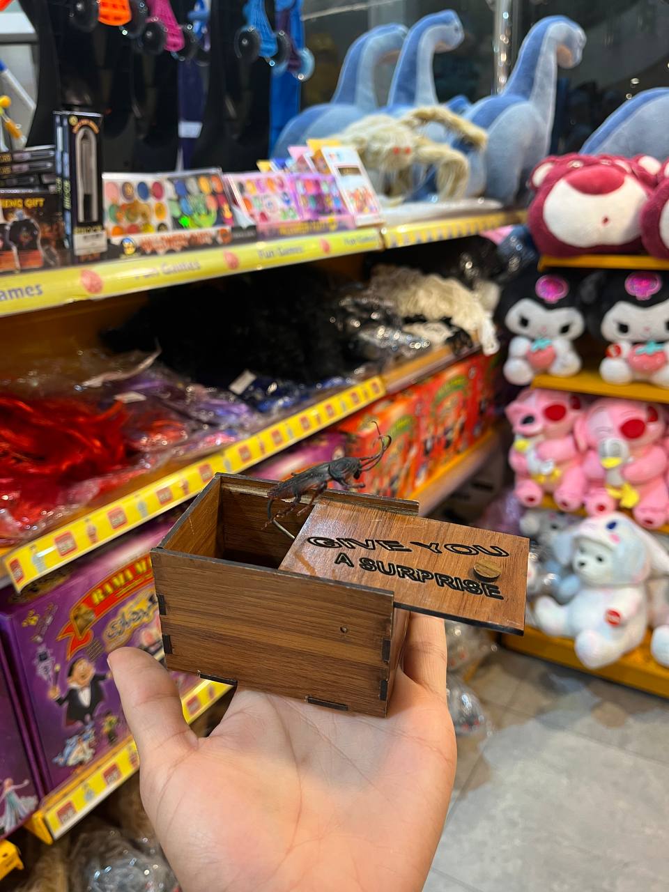 photo_2025-10-22_19-34-30 شوخی جعبه سوسک چوبی - تصویر 1