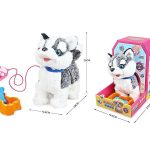 سگ کنترلی هاسکی 55/5