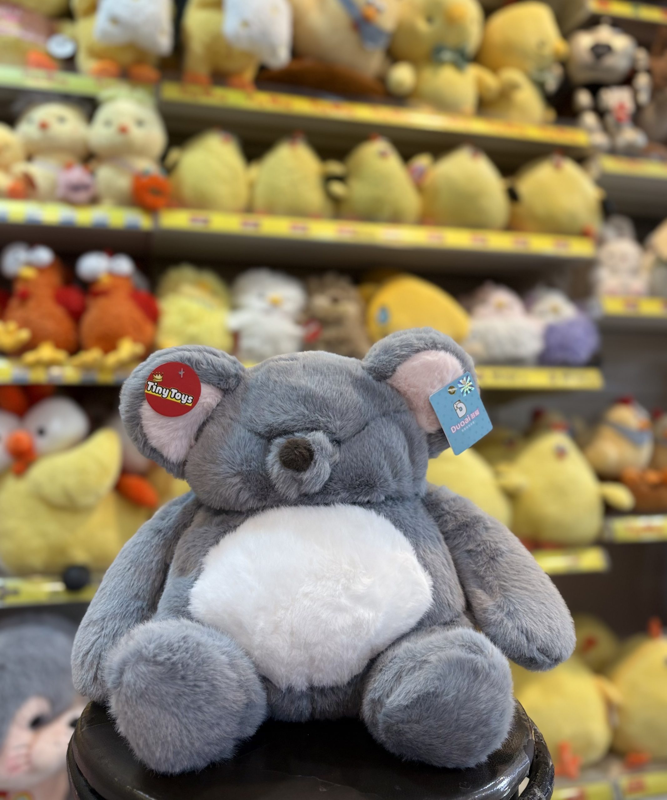 IMG_0120 عروسک کوالا تپل اورجینال برند Duoai - تصویر 1