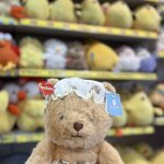 عروسک خرس لباسدار اورجینال برند Duoai