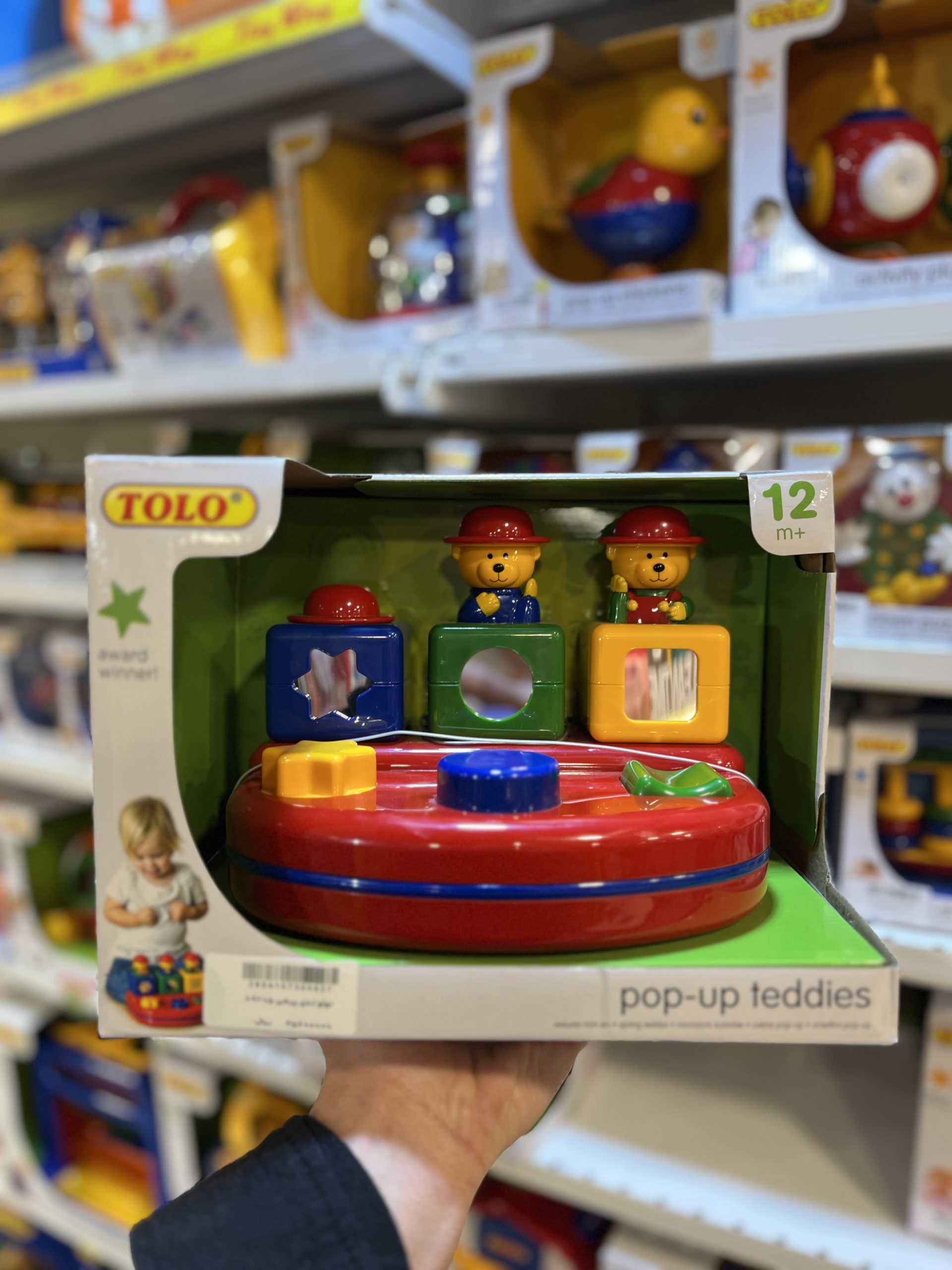 IMG_2702 تولو تدی پرشی (Tolo) ۸۹۲۰۵ - تصویر 1