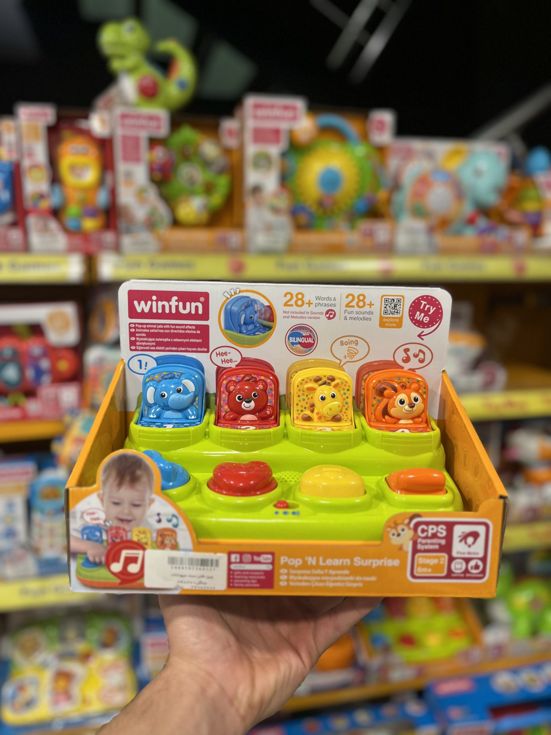 IMG_2748 وین فان ست حیوانات جنگل ۲۴۰۲۰۱ - تصویر 1