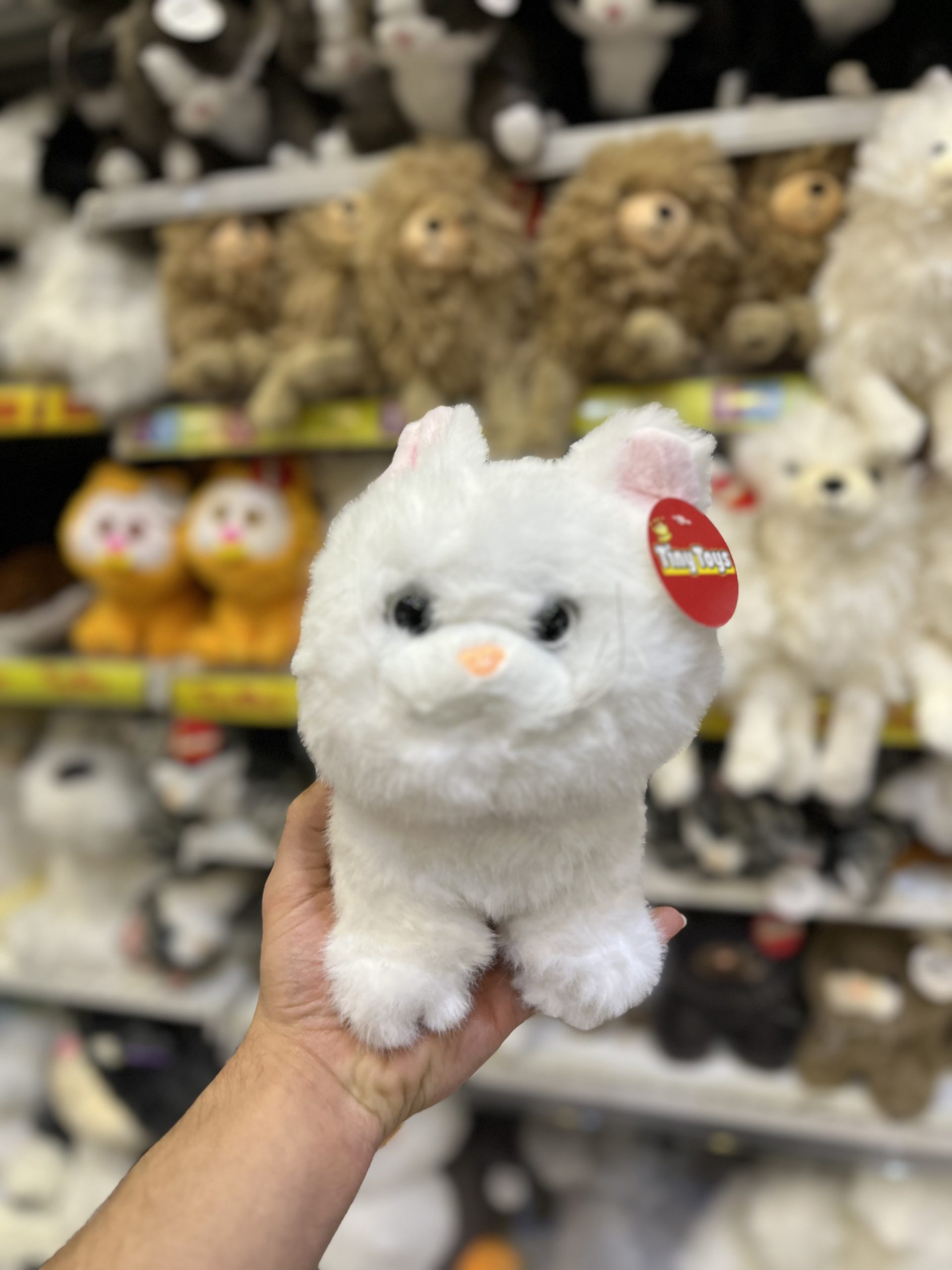 IMG_2837 عروسک گربه چهار رنگ سفید - تصویر 1