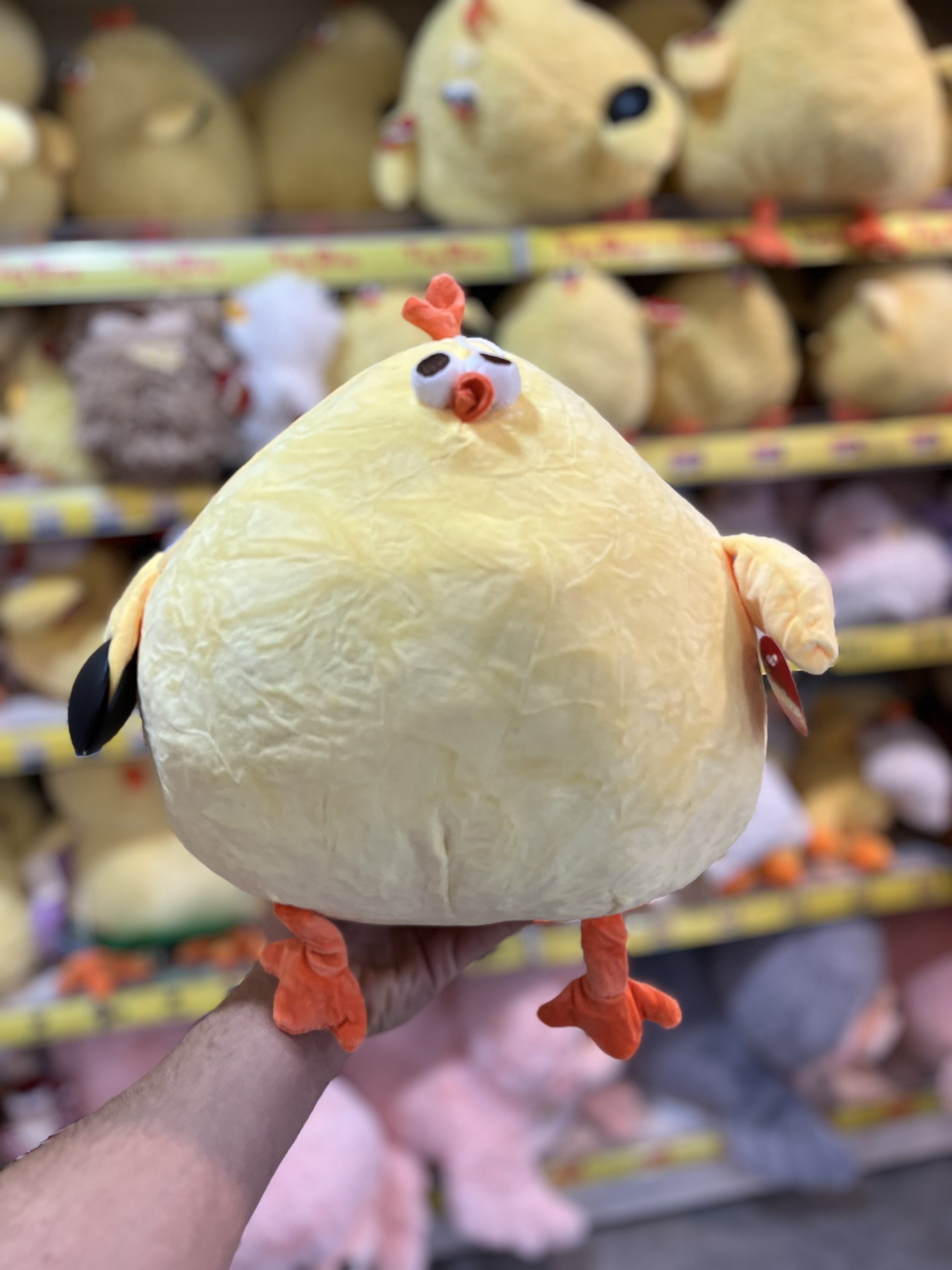 IMG_2852 عروسک جوجه چشم قلمبه ۳۵ سانت ۲ - تصویر 1