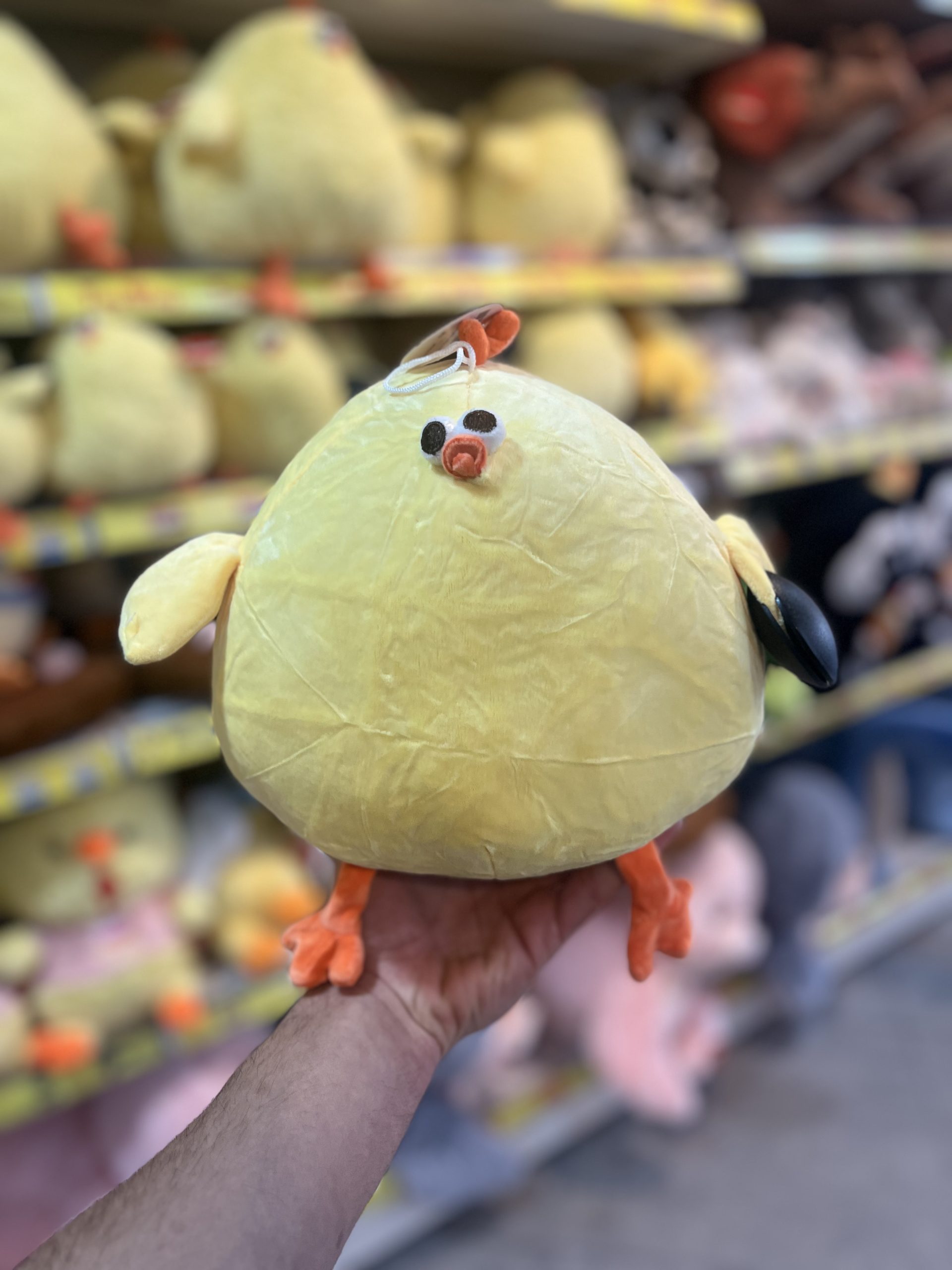 IMG_2855 عروسک جوجه چشم قلمبه ۲۵ سانت - تصویر 1