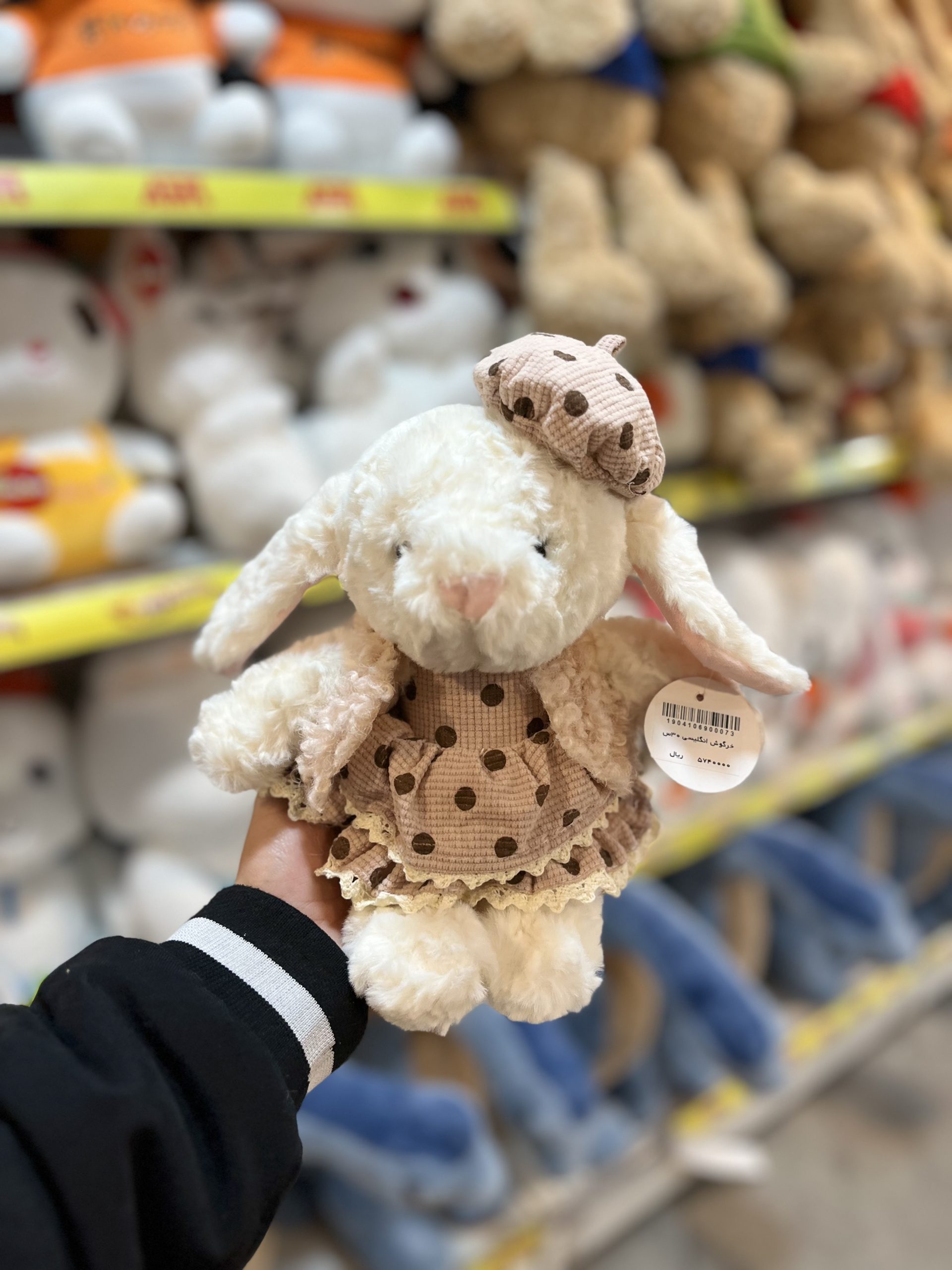 IMG_2924 عروسک خرگوش انگلیسی ۳۰ سانت - تصویر 1