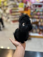 عروسک اسب تک شاخ مینیاتوری ۱۸ سانت - تصویر 4