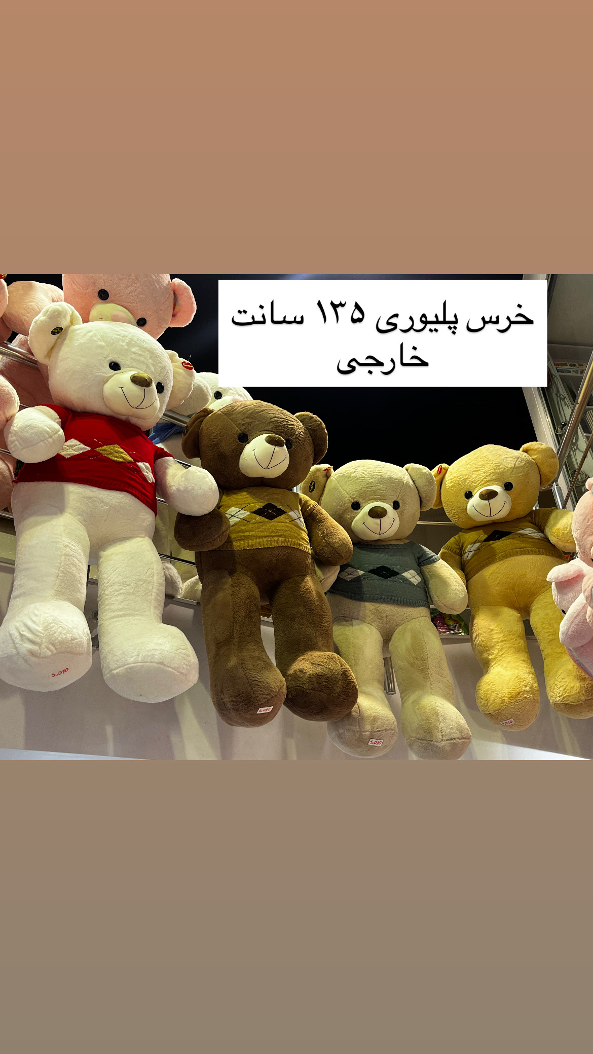 DACF2890-B4B7-4FE4-A2CC-742E7F86E84C عروسک خرس پلیوری ۱۳۵ سانت وارداتی - تصویر 1