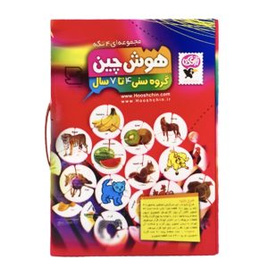 بازی فکری هوش چین مجموعه چهار تکه