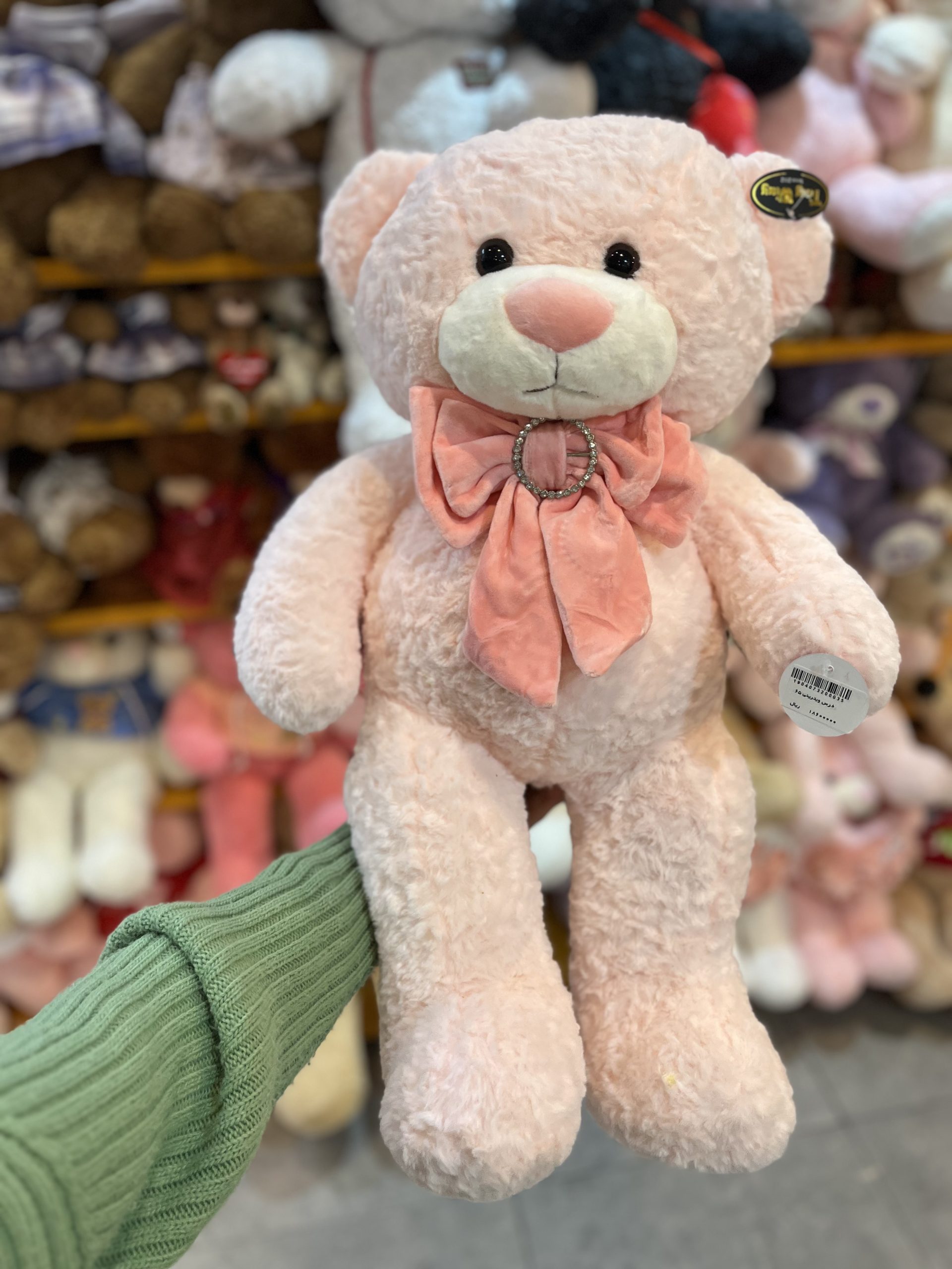 IMG_3296 عروسک خرس ویترینی ۶۵ سانت - تصویر 1