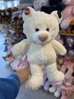 عروسک خرس ویترینی بالدار ۶۵ سانت - تصویر 3