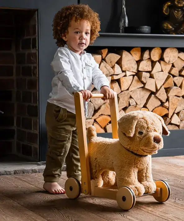 LB3052-Dexter-dog-push-along-cropped واکر سگ چرخدار قهوه ای لیتل برد 3052 (little bird) - تصویر 1